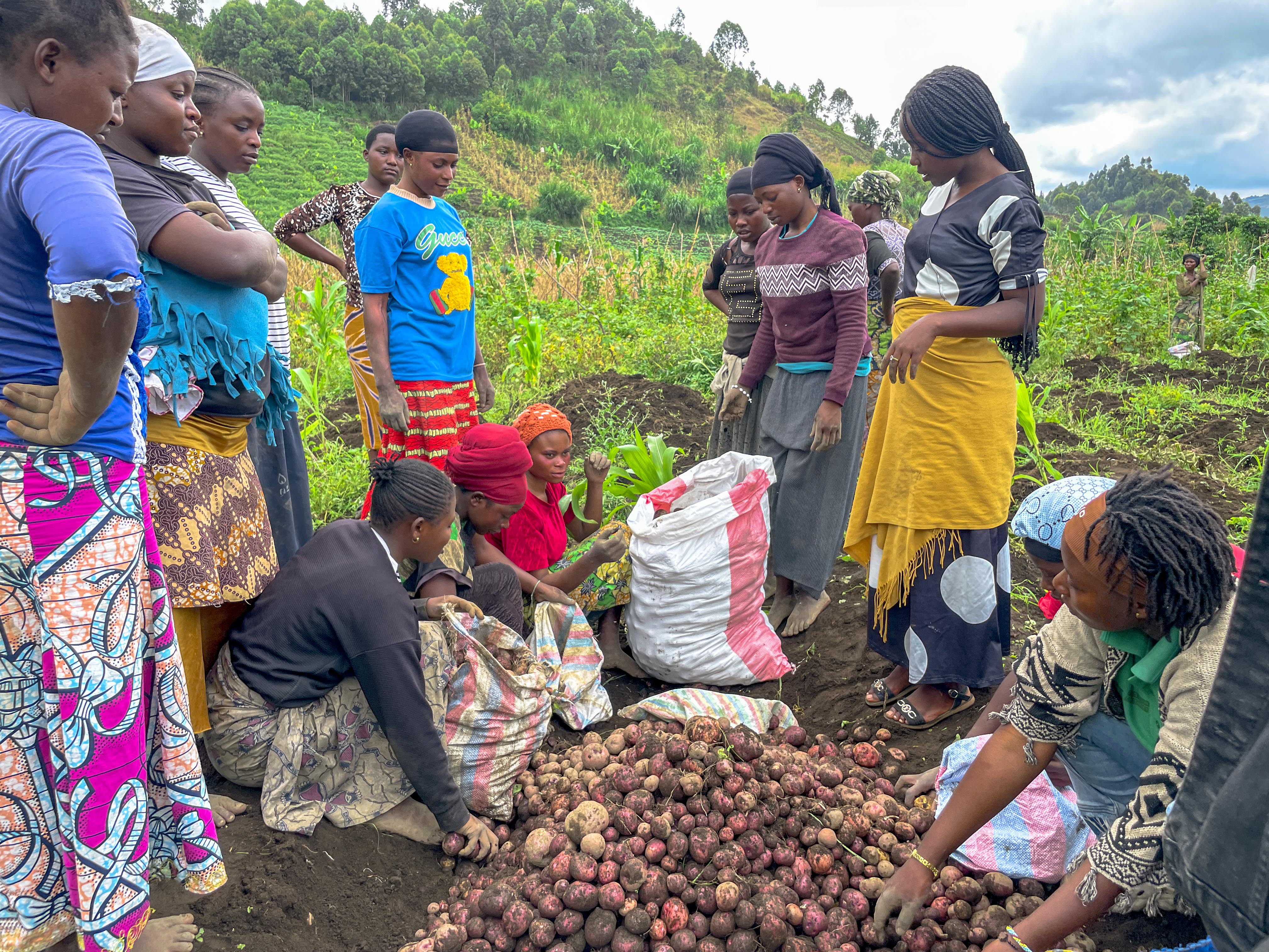 Nyiragongo: Youth in ADED’s Empowerment Program Carry Out Harvests in Learning Fields