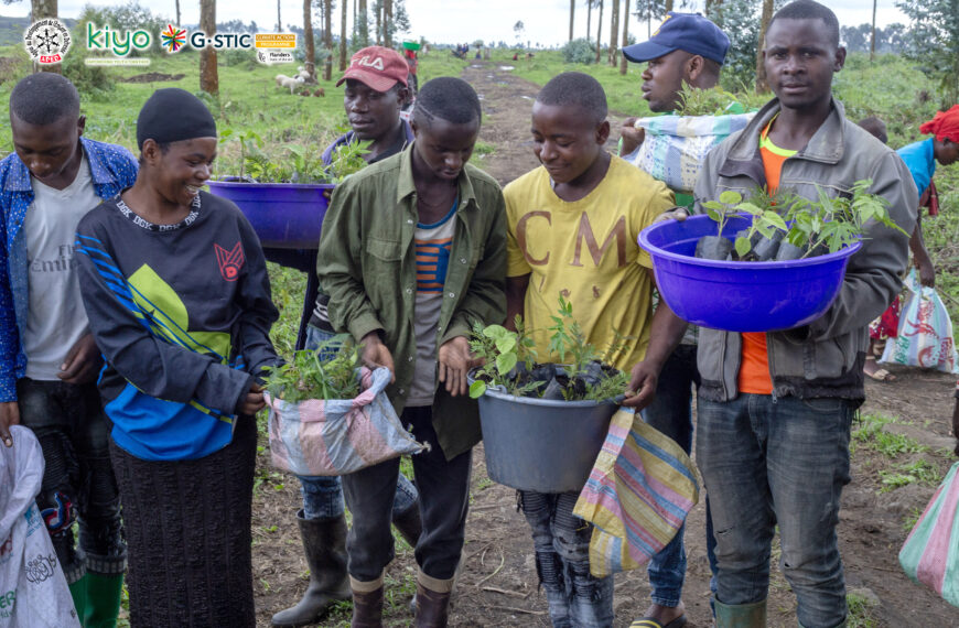 Distribution de 24 701 plantules d’arbres agroforestiers et fruitiers à Nyiragongo, Masisi et Uvira